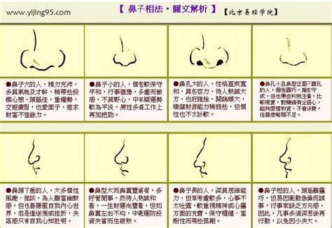 鼻子看面相|相面实战（快准狠）相鼻篇